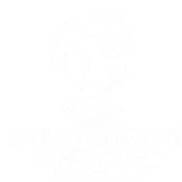 bacfc67f-a707-4ba2-86b4-a6c752c020d6 (1)